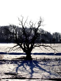 winter tree - winterbaum by mateart