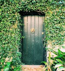 The Green Door by O.L.Sanders Photography