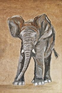 Elefantenjunges von Annett Tropschug