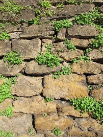 Natursteinmauer von Heike Rau