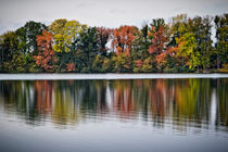 Herbst am See von Beate Zoellner