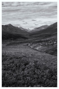 Tundra Valley by Priska  Wettstein