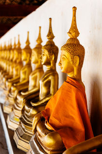 A line of Buddhas. by Tom Hanslien