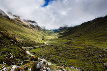 Path through the valley in the Cuzco Region of Peru. by Tom Hanslien