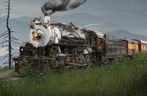 Smokey Mountain Railway Steam Locomotive by Randall Nyhof