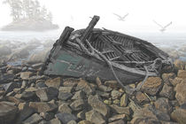 Beached Ship Wreck von Randall Nyhof
