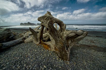 Driftwood on Rialto Beach by Randall Nyhof
