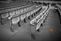 Arena Chair Seatings with Oak Leaf by Randall Nyhof