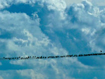 Vogelkette von Simone Wilczek
