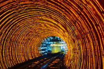 Im Tunnel IV by Simone Wilczek