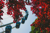 Ferris Wheel von Patrycja Polechonska