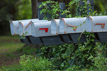 Ivy Covered Mailboxes by Louise Heusinkveld