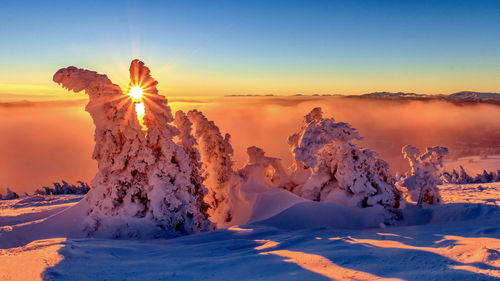 Sunset-in-the-alps