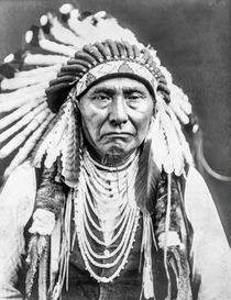 Chief Joseph Nez Perce by Vincent Monozlay