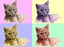 'Kätzchen PopArt - Kitten PopArt' by Nicole Zeug