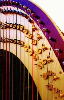 Harp-Harfe by Michael Beilicke