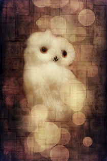 O Owly Night von loriental-photography