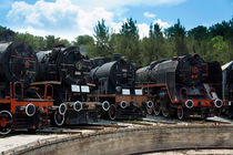 Lokomotiven von Michael Moxter