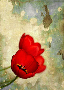 Red Flowers With Moody Grunge Canvas Texture and Stains von Denis Marsili