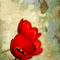 Red-flower-paper-texture-po