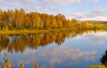 Autumn background von larisa-koshkina