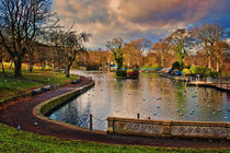 The Boating Lake by Colin Metcalf