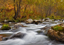 Fast flowing river on the background of the autumn forest by larisa-koshkina