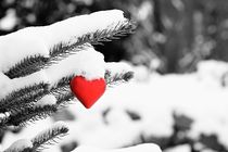 Heart in the Snow von Jan Beuth