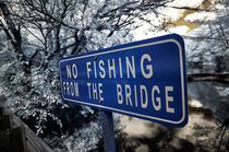 No Fishing From the Bridge by John Rizzuto