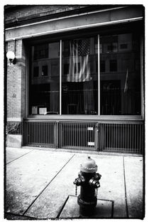 Patriotic Boston by John Rizzuto