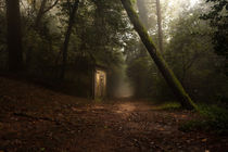 Hansel and Gretel by Jorge Maia