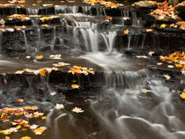 Buttermilk Falls by Shannon Workman
