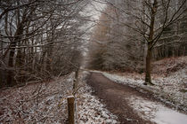 The Cycle Path In Winter by David Tinsley