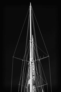 Mast Shapes by John Rizzuto