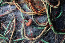 Nets and Ropes by John Rizzuto