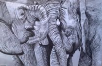 Elephants by Sonja Blügel