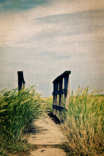 The Way by AD DESIGN Photo + PhotoArt