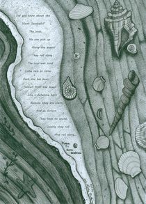 Sea Shells Poem by Richie Montgomery