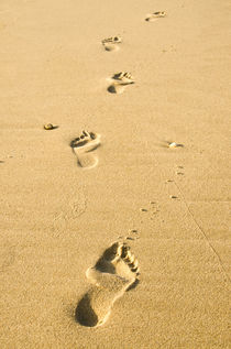 Einsame Fußspuren im Sand by caladoart