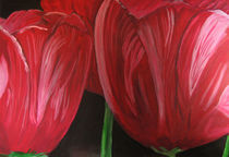 Rote Tulpenblüte von Klaus Engels