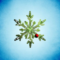 Winter Holidays Pine Snowflake von Boriana Giormova