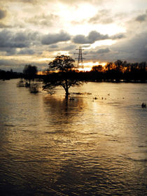 The Trent Washlands in Full Flood von Rod Johnson