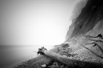 Kreideküste im Nebel by Kristian Goretzki