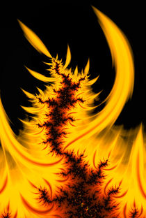 Fraktal orange und schwarz - Feuer und Flamme von Matthias Hauser