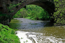 The River Dove Beneath Coldwall Bridge von Rod Johnson