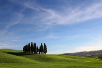 Typisch Toscana by Bruno Schmidiger