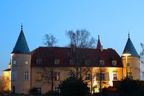 Schloss St.Martin von robert-boss