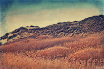 Amrum Dunes by AD DESIGN Photo + PhotoArt