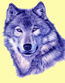 Wolf PopArt Blue by Nicole Zeug