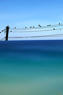 CRETAN SEA & BIRDS I by Pia Schneider
